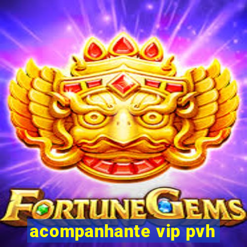 acompanhante vip pvh